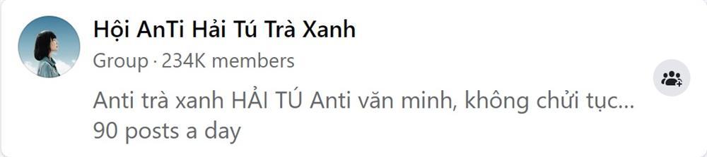 Phốt trà xanh giúp Sơn Tùng tăng 6 triệu follow còn Hải Tú bị lập group anti 234k thành viên-3