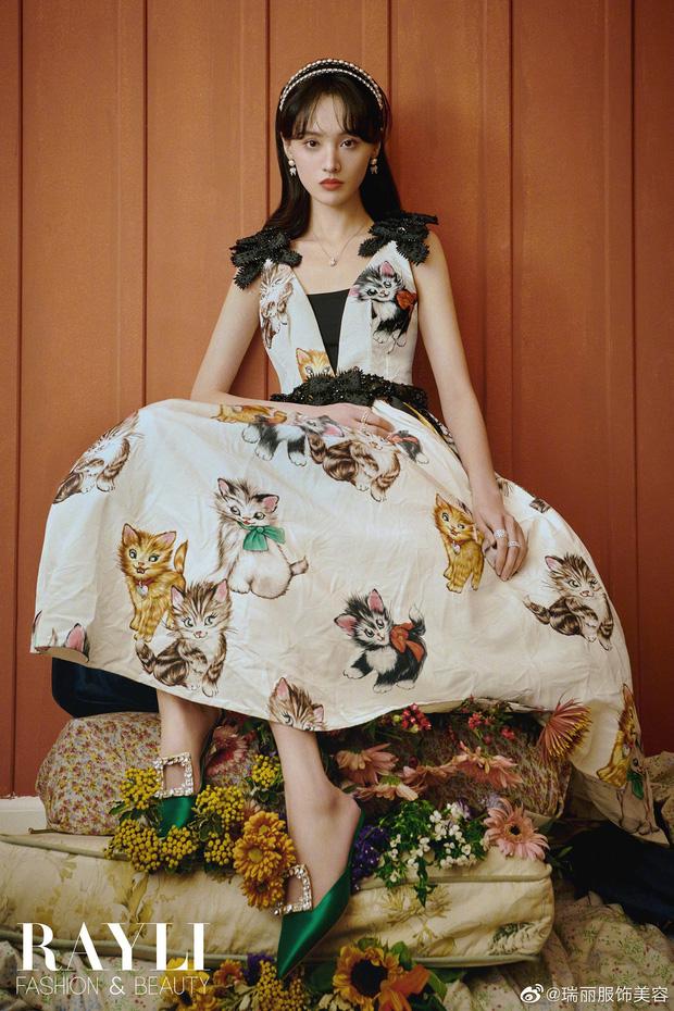 Bạn thân Trương Hằng tiết lộ 1001 chi tiết sốc về Trịnh Sảng trong scandal phá thai-2