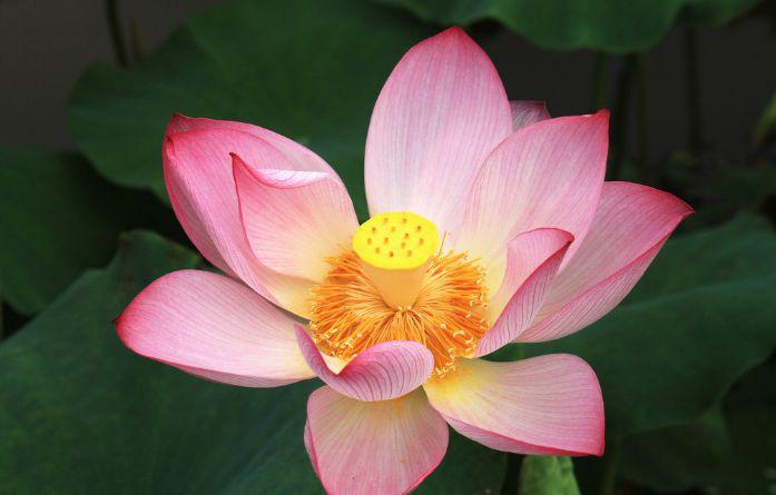 Sinh tháng Âm lịch nào tốt nhất? Người ngồi không nhận tiền, kẻ đổi mồ hôi lấy thưởng-1