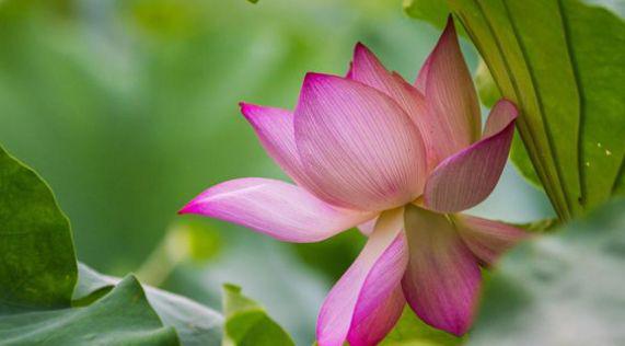 Sinh tháng Âm lịch nào tốt nhất? Người ngồi không nhận tiền, kẻ đổi mồ hôi lấy thưởng-2