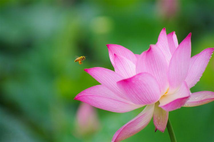 Sinh tháng Âm lịch nào tốt nhất? Người ngồi không nhận tiền, kẻ đổi mồ hôi lấy thưởng-3