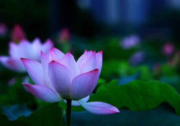 Sinh tháng Âm lịch nào tốt nhất? Người ngồi không nhận tiền, kẻ đổi mồ hôi lấy thưởng-5