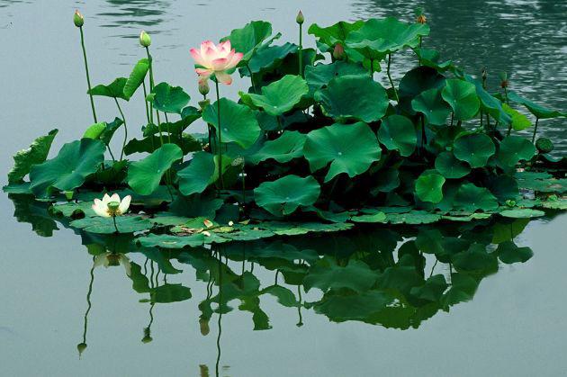 Sinh tháng Âm lịch nào tốt nhất? Người ngồi không nhận tiền, kẻ đổi mồ hôi lấy thưởng-6