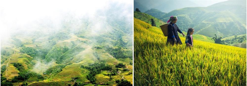 Sa Pa và những nơi có ruộng bậc thang đẹp nổi tiếng-1