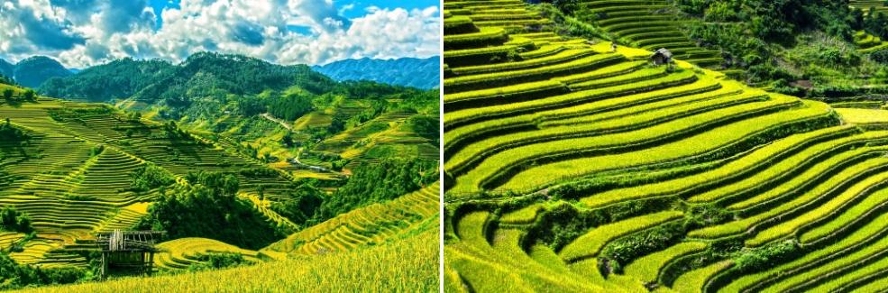 Sa Pa và những nơi có ruộng bậc thang đẹp nổi tiếng-2