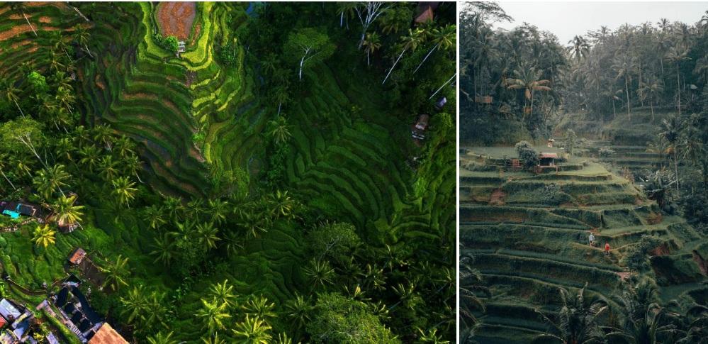 Sa Pa và những nơi có ruộng bậc thang đẹp nổi tiếng-3