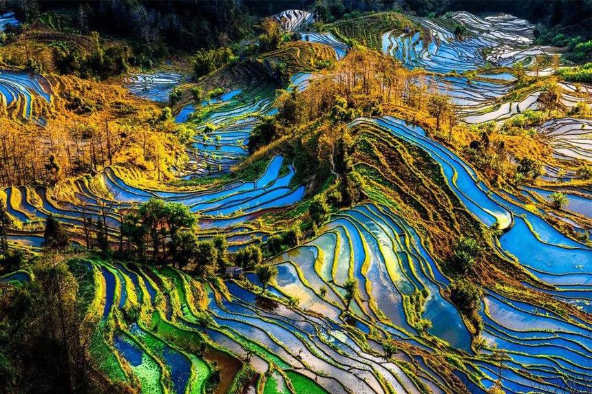 Sa Pa và những nơi có ruộng bậc thang đẹp nổi tiếng-5