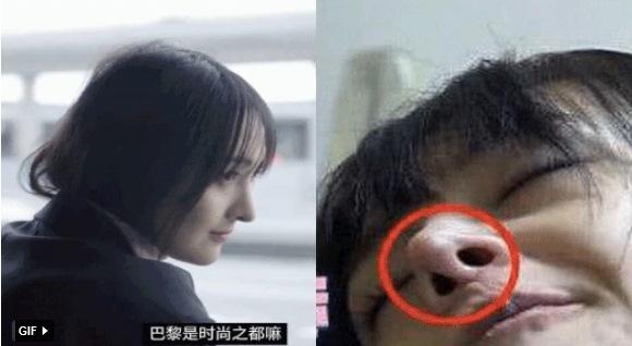 Trịnh Sảng tuột dốc nhan sắc lẫn sự nghiệp sau khi phẫu thuật thẩm mỹ-8