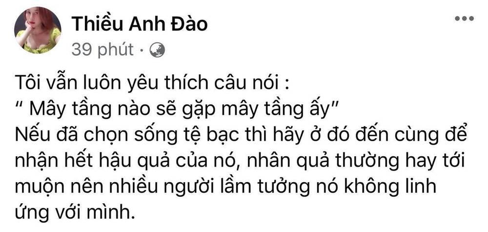 Chị gái Thiều Bảo Trâm: Chọn sống tệ bạc thì hãy nhận hết hậu quả-2