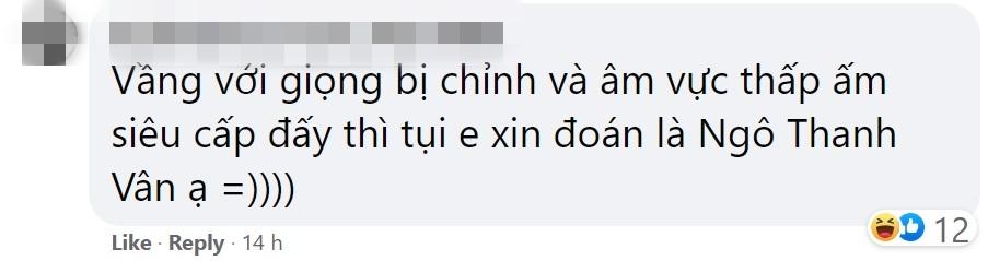 Trà xanh quá hot, Sơn Tùng trở thành khách mời liveshow Mỹ Tâm?-2