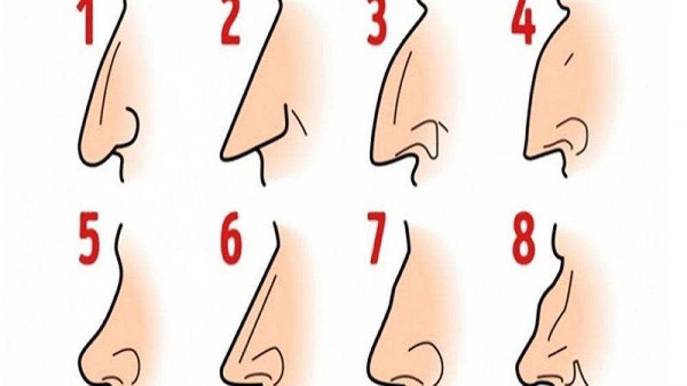 Hình dáng chiếc mũi nói lên tính cách và tương lai của bạn-1