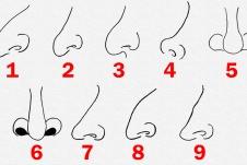 Hình dáng chiếc mũi nói lên tính cách và tương lai của bạn-2