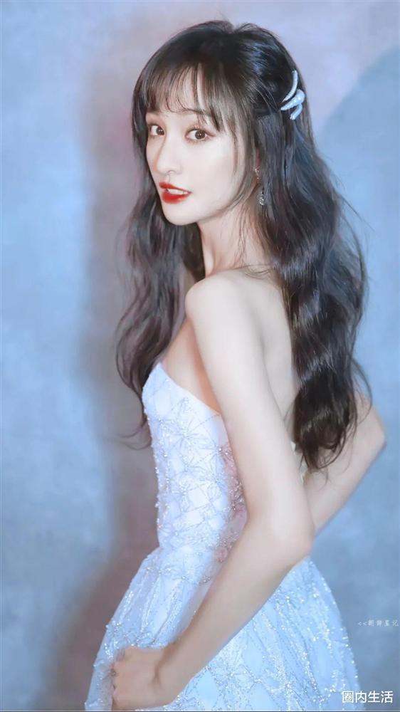 Trịnh Sảng bị phong sát, Thành Long và Hoàng Cảnh Du nằm không cũng trúng đạn-2