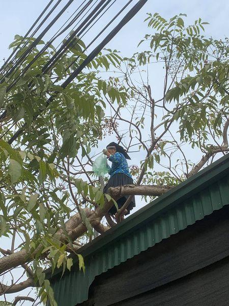 Cụ bà U70 leo cây thoăn thoắt hái quả, cô gái trẻ nhìn qua phải ngả mũ thán phục-2