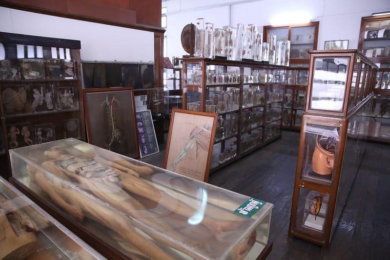 Những bảo tàng đáng sợ nhất hành tinh-4