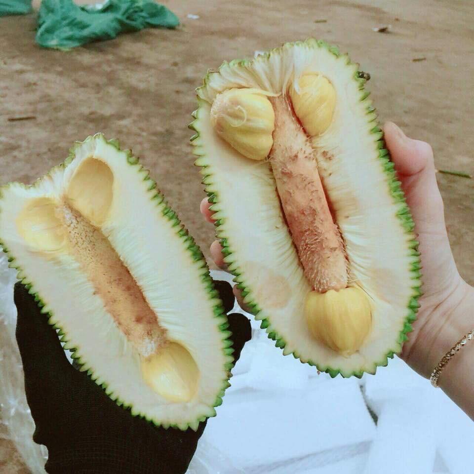 Loại củ quả khơi gợi suy nghĩ 18+, các chị em nhìn mà ngượng chín mặt-4