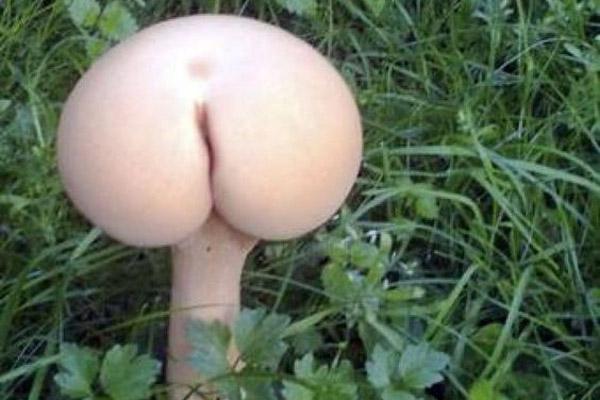 Làm món rặt quê này ăn ngày rét, cả nhà xới cơm không nghỉ-5