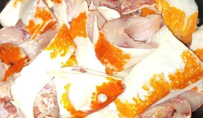 Phẫn nộ cô gái chế biến 20 con cá Koi thành súp rồi đăng lên mạng-2