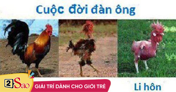 Thượng đế cũng bó tay trước cảnh các ông chồng sợ vợ một ...