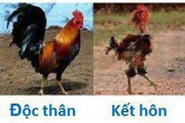 Hùng hồn hiến kế bật vợ, nào ngờ lộ ra toàn người muốn trường sinh bất lão-10