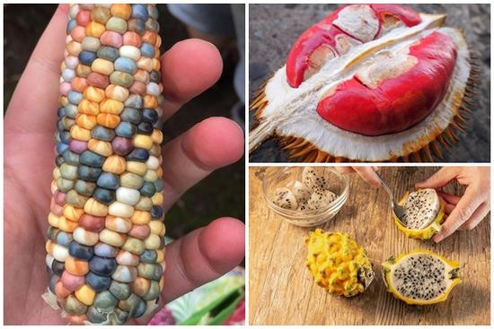 Những loại củ quả có màu sắc kỳ lạ cứ ngỡ đã qua photoshop