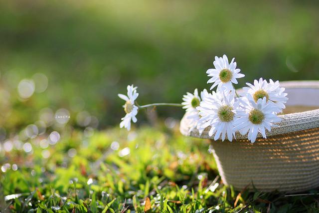 Tử vi 12 cung hoàng đạo thứ Hai ngày 25/1/2021: Ma Kết rủng rỉnh, Xử Nữ tỉnh táo-2