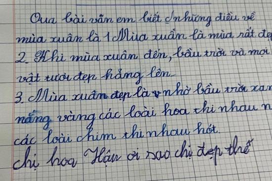 Cười sái hàm bài văn tả mùa xuân đầu một đằng, cuối một nẻo của nhóc tiểu học
