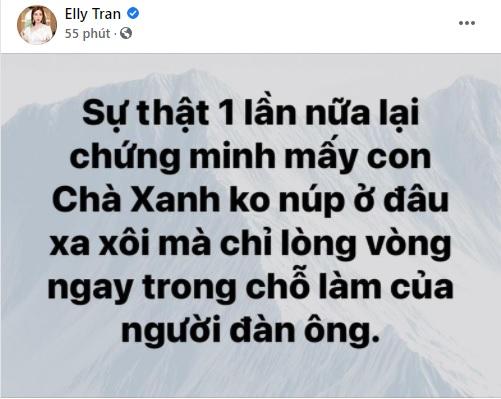 Elly Trần nói về trà xanh cực gắt giữa drama Sơn Tùng - Thiều Bảo Trâm-1