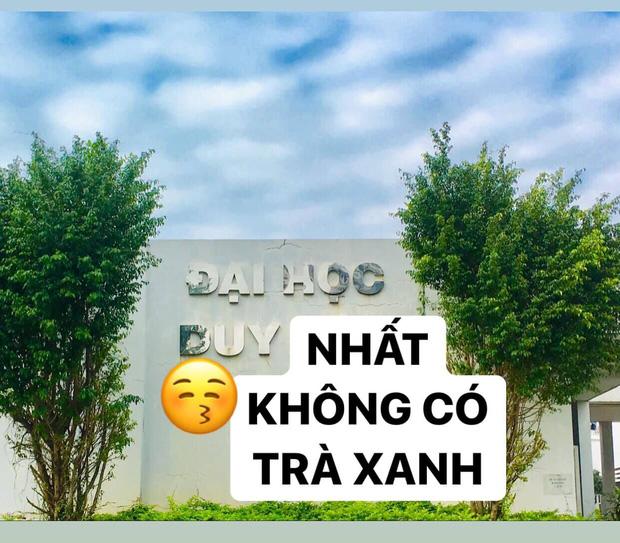 Học trò đu trend trà xanh, dù cà khịa Sơn Tùng nhưng ai đọc cũng phải cười lăn vì quá sức tinh tế-4