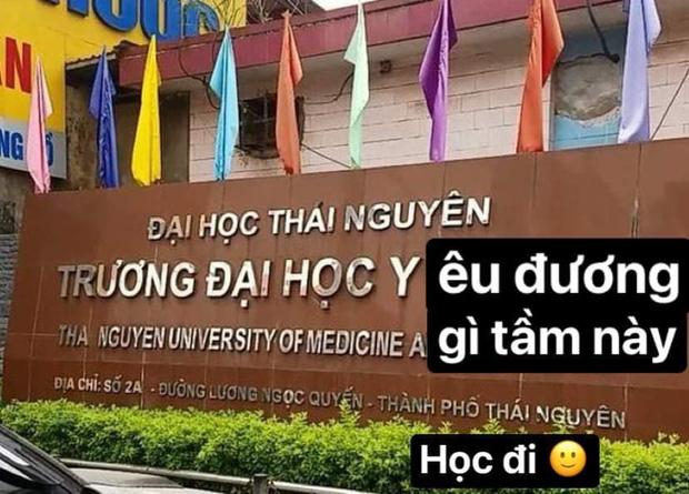 Học trò đu trend trà xanh, dù cà khịa Sơn Tùng nhưng ai đọc cũng phải cười lăn vì quá sức tinh tế-5