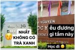 Ném đồ ăn vì đu trend trà xanh, thanh niên bị chỉ trích phản cảm-6