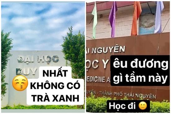 Học trò đu trend 'trà xanh', dù cà khịa Sơn Tùng nhưng ai đọc cũng phải cười lăn vì quá sức tinh tế