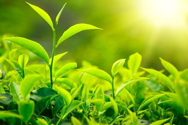 Bạn gái có thai với sếp, bỏ dở cuộc tình 7 năm: Dân tình xin info lập group antifan-4