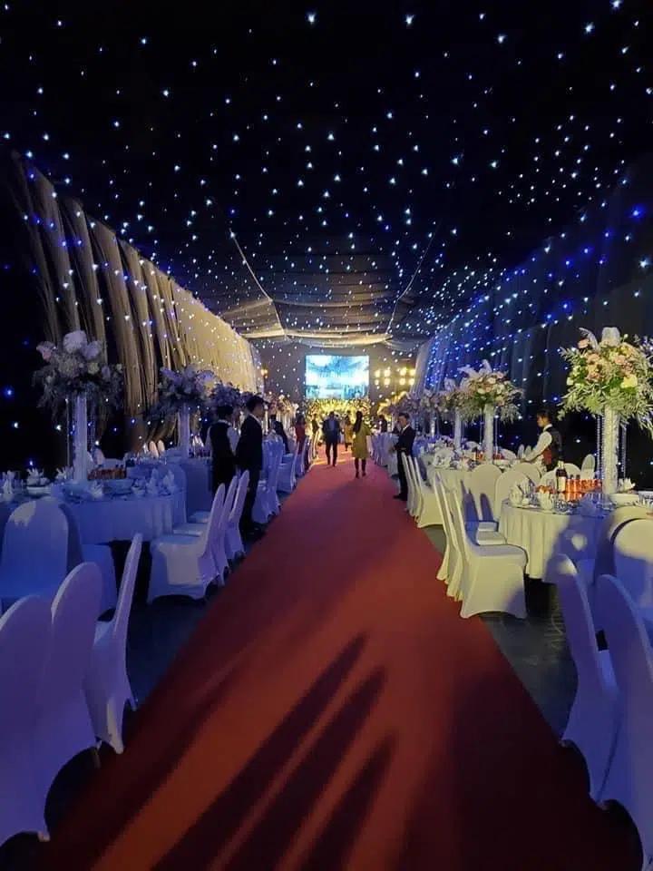 Xỉu ngang xỉu dọc lâu đài dát vàng ở Ninh Bình: Xây thô 400 tỷ, riêng cổng 40 tỷ-2