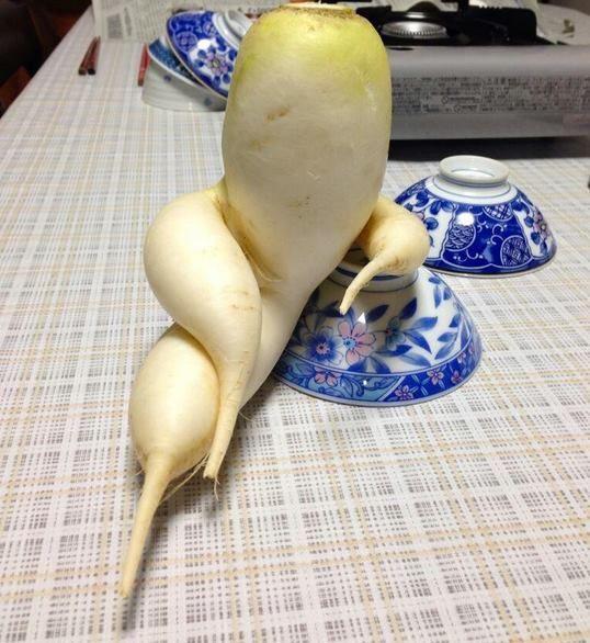 Củ cải trắng tập thể dục đắt hàng tại Nhật Bản-4