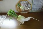 Củ cải trắng 'tập thể dục' đắt hàng tại Nhật Bản