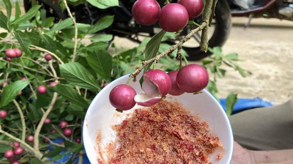 Những loại trái cây Việt Nam tên lạ hoắc, ai biết chắc đã có tuổi thơ quê nhà-7