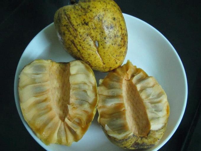 Những loại trái cây Việt Nam tên lạ hoắc, ai biết chắc đã có tuổi thơ quê nhà-9