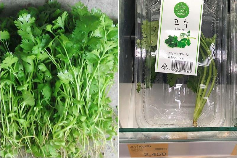 4 loại rau gia vị quê nhà rẻ bèo, cho không được nhưng sang bển lại đắt như vàng-1