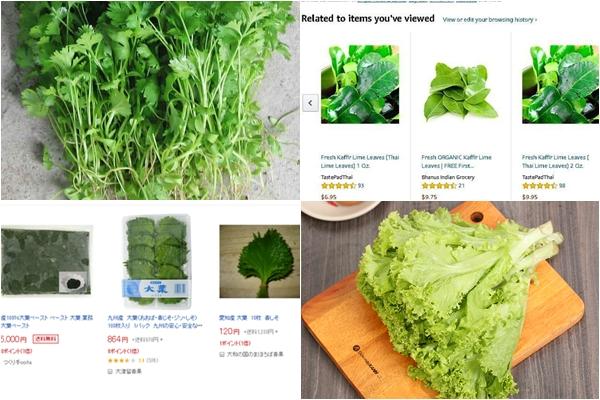 Ngày Tết ăn bông cải xanh phải cẩn thận với 3 điều này nếu không rước bệnh vào người-5