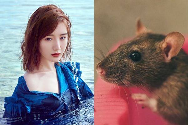 Có những con giáp này trong nhà, năm 2021 sẽ là một năm gia chủ vượng phát, tiền vào đầy két-3