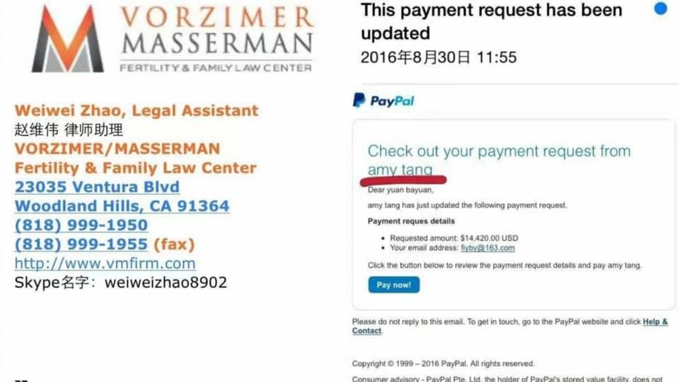 Trương Vũ Kỳ lộ hợp đồng mang thai hộ, nói dối dư luận trắng trợn?-3