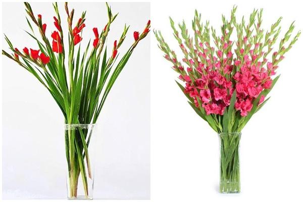 Phải lòng những suối hoa của mẹ Hà Nội, chị em thi nhau vào học hỏi-9