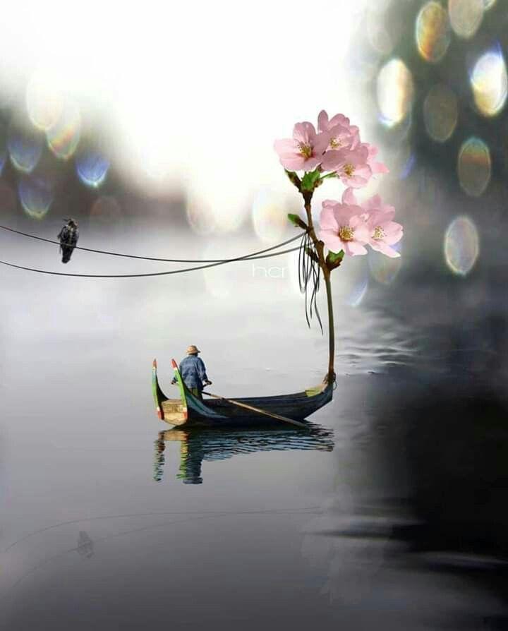 Tử vi 12 cung hoàng đạo thứ Năm ngày 28/1/2021: Bạch Dương may mắn, Song Ngư thất thường-1