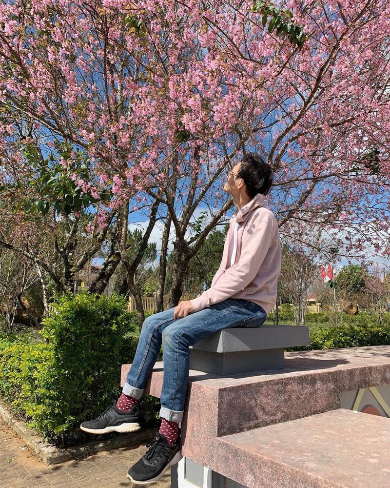 Chẳng cần lên Đà Lạt, Kon Tum cũng có hoa mai anh đào phủ hồng cả bầu trời đây này-7