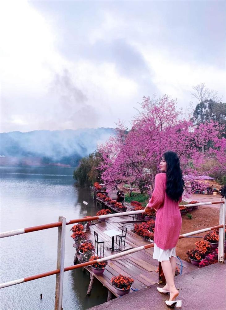 Chẳng cần lên Đà Lạt, Kon Tum cũng có hoa mai anh đào phủ hồng cả bầu trời đây này-8