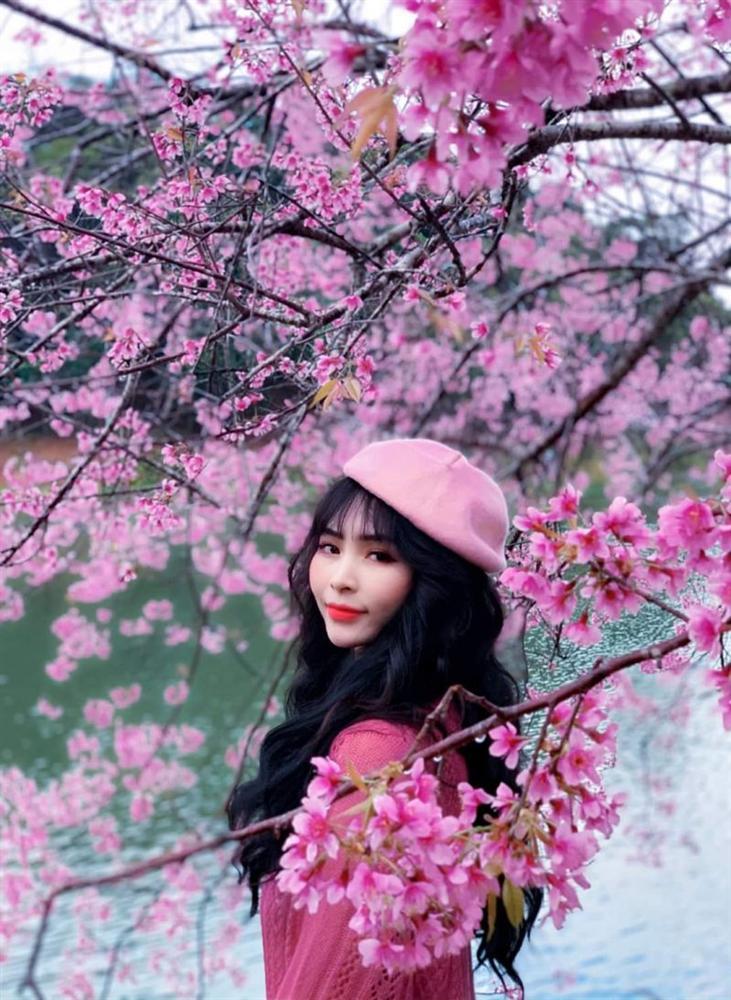 Chẳng cần lên Đà Lạt, Kon Tum cũng có hoa mai anh đào phủ hồng cả bầu trời đây này-10