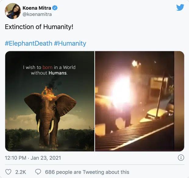 Clip: Chú voi đi kiếm ăn bị người dân ném bánh xe cháy vào đầu chết tức tưởi-1