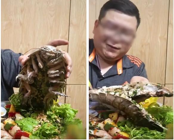 Dân mạng sởn gai ốc với màn review ăn thử món bọ biển khổng lồ giá 4 triệu/con-4