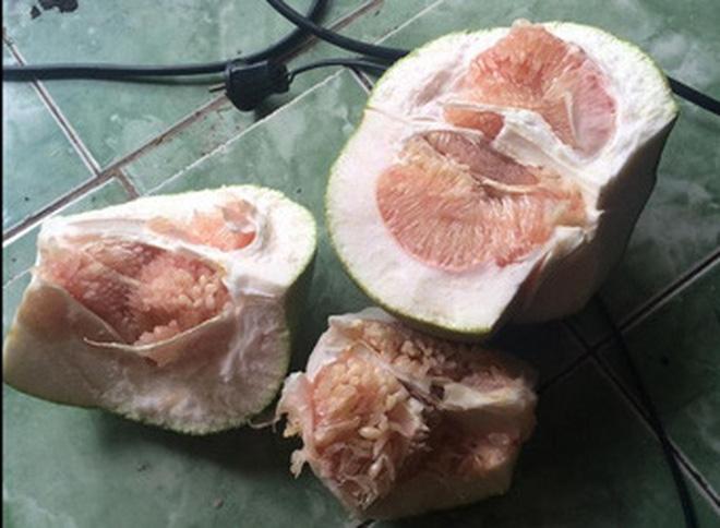 Những pha bổ hoa quả của các nàng dâu tương lai khiến mẹ chồng nhìn mà khóc thét-6